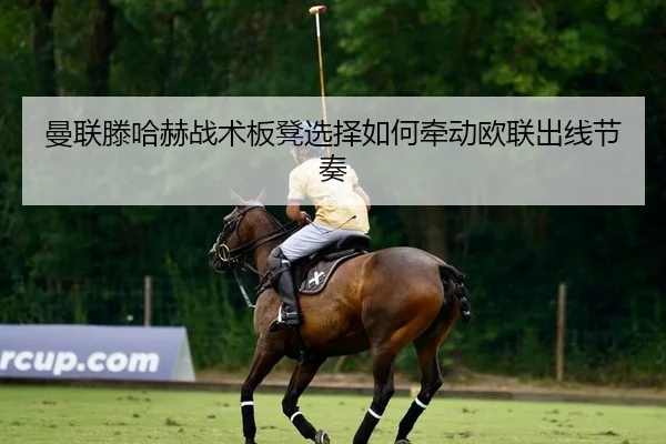 man-lian-teng-ha-he-zhan-shu-ban-deng-xuan-ze-ru-he-qian-dong-ou-lian-chu-xian-jie-zou-2-108.jpg